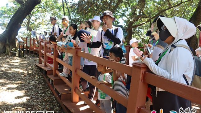 探秘大鹏坝光湿地，邂逅生物多样之美