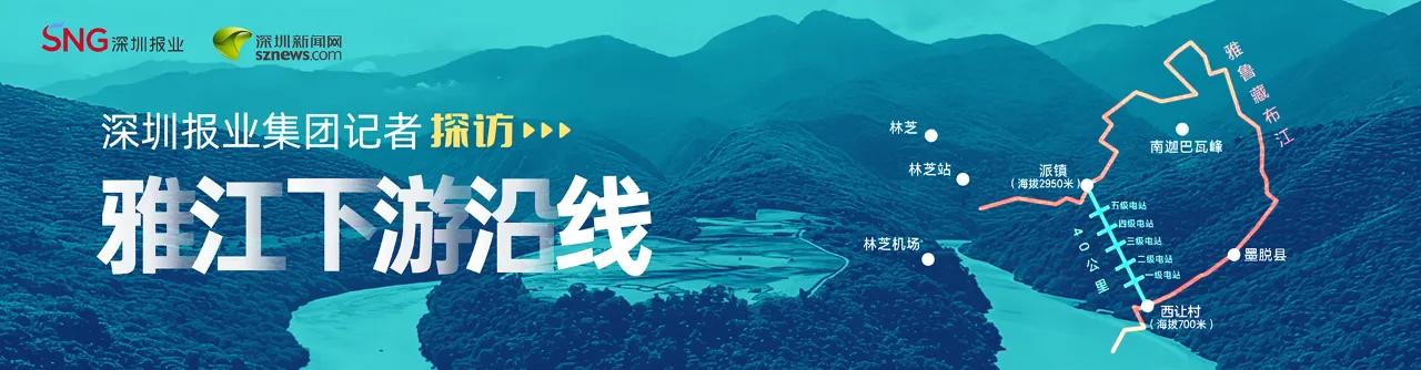 043ad2432bb753bac7f3e9f32121c5d0.jpg