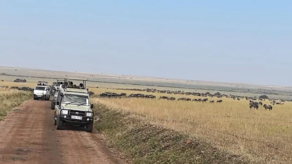 《草原与雪山之间》游猎动物王国八日记 ⑩｜不散的“宴席”：记忆里的非洲风与光