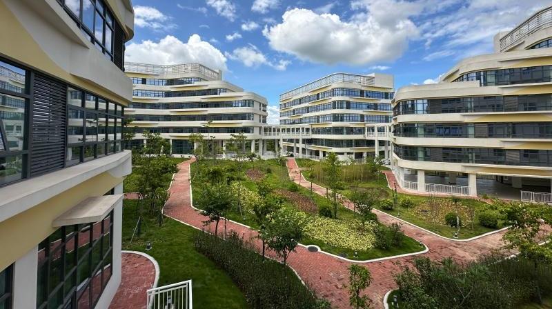 广东茂名：着力推动养老服务提质增效 助力养老变“享老”