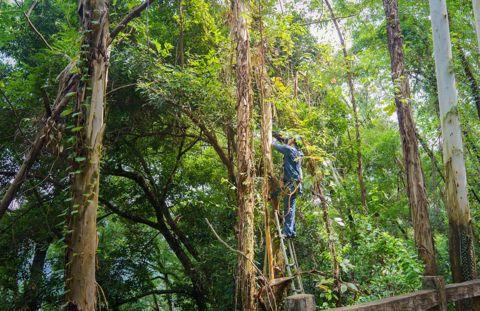 南方电网深圳供电局响应备战超强台风“桦加沙”
