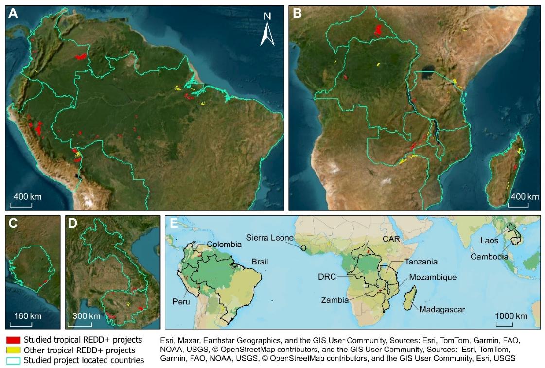 深大李清泉院士团队science发文，破解热带森林碳信用争议难题