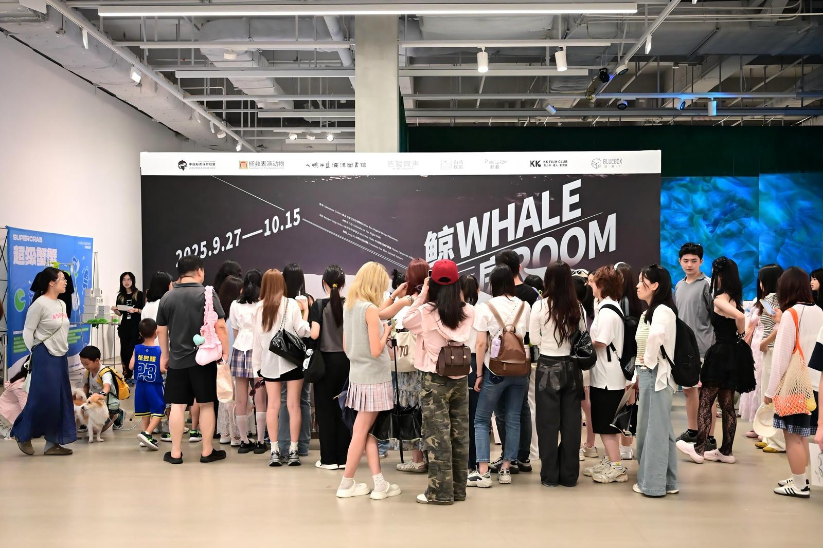 唤醒大众对动物伦理思考《鲸房：困于方寸之间的蔚蓝梦境》在深落幕