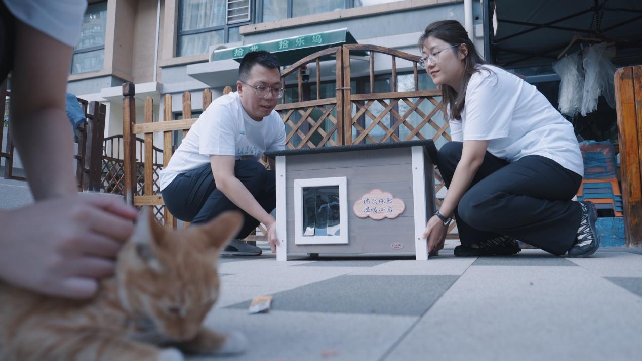 共建美好城市 瑞众保险开展“RUI喵守护团”行动