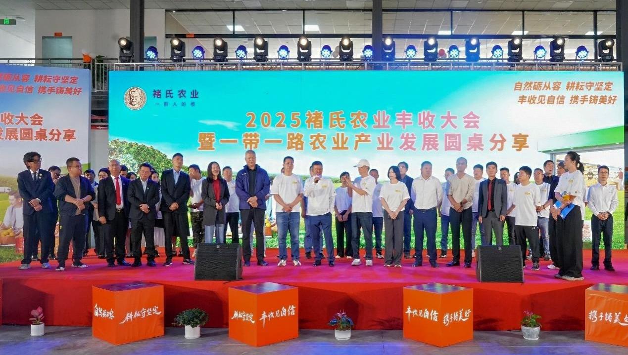 鑫荣懋集团助力褚橙新季上市，鲜启金秋好时节