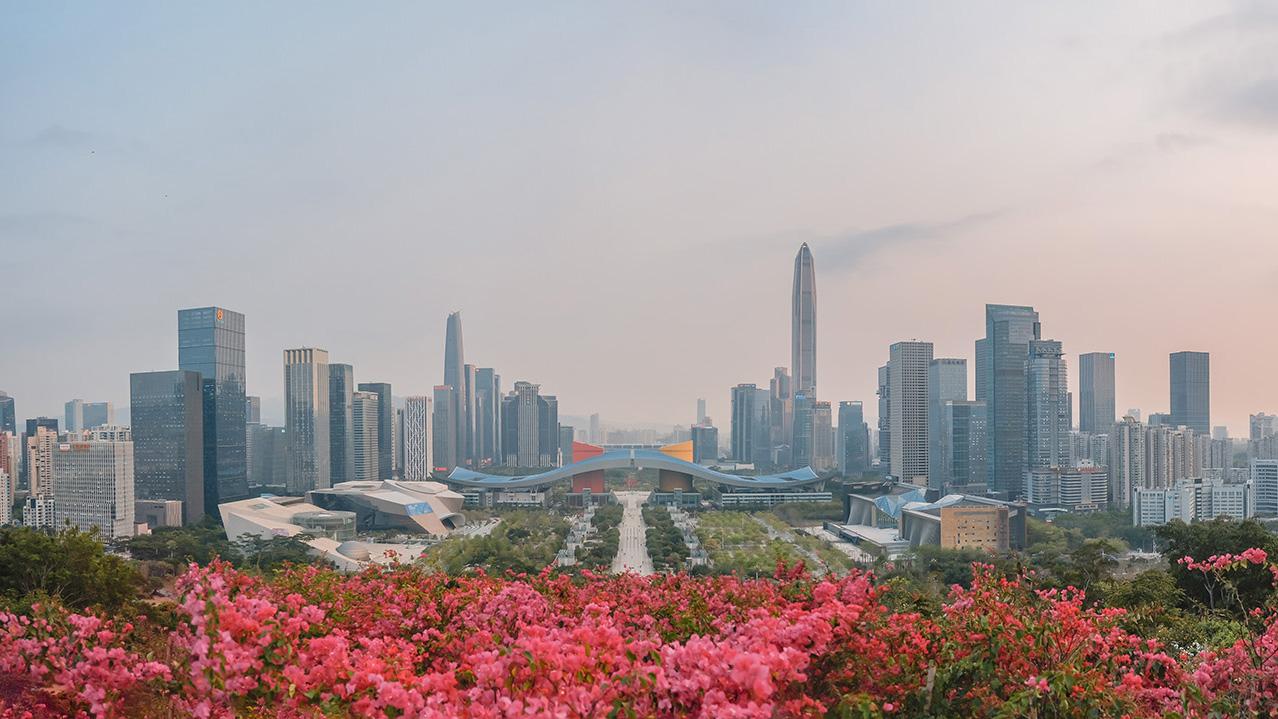 第十九届设计之都（中国•深圳）公益广告大赛举办颁奖仪式和优秀作品展
