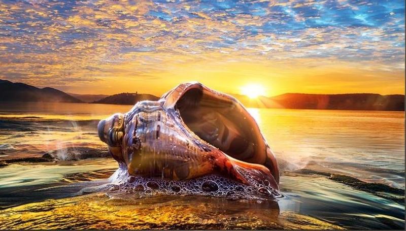 SQD-Mini LED技术破局，TCL X11L万象分区技术重构控光标准