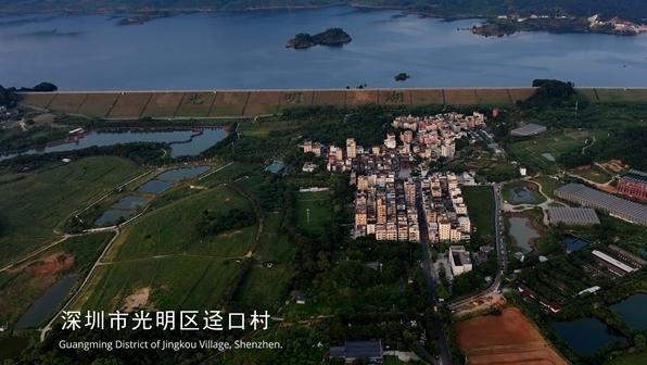 深圳光明本土纪录片《迳口村的暖阳》斩获中国纪录片“长片十佳”