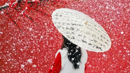 在南国都市中邂逅紫禁初雪 深圳大悦城“宫廷雪境”11.21启幕