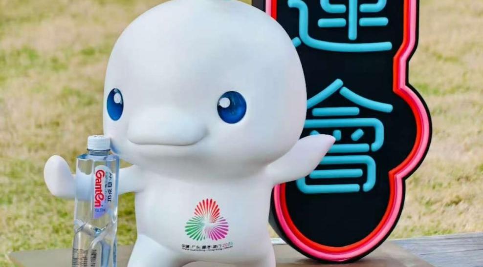 从全运吉祥物到“湾区水”，湾区力量“护航”全运会