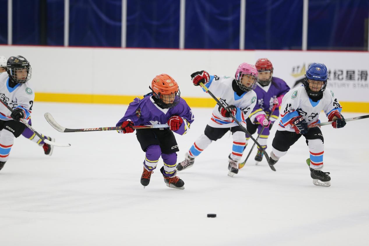 冰上小将，梦想飞扬！2025年深圳市青少年（儿童）冰球锦标赛圆满落幕