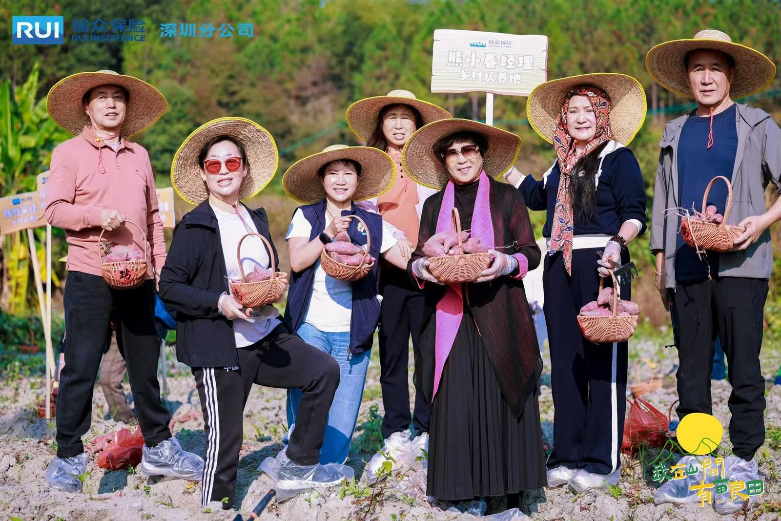 见证乡村振兴实践硕果 深圳瑞众保险开展丰收节活动