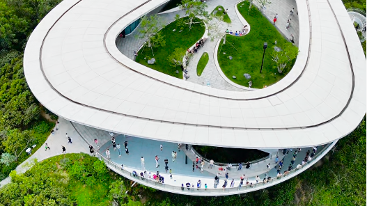 自媒体博主“曦曦的旅行日记”探索光明，奔赴热爱