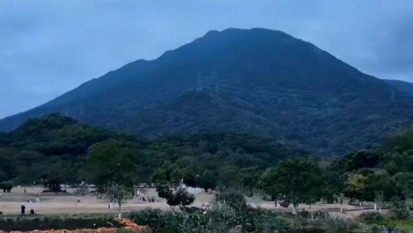 自媒体博主“是垛垛呀”打卡盐田山海宝藏