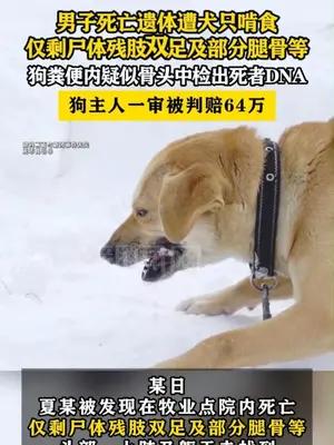 男子死亡遗体遭犬只啃食 狗粪便内疑似骨头中检出死者DNA