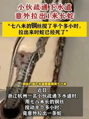 小伙疏通下水道拉出一条1米长蛇