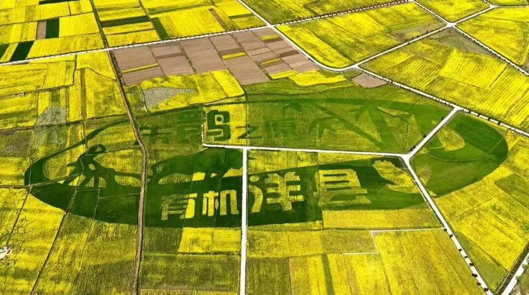 2025“朱鹮之原・有机洋县” 粤港澳大湾区合作交流活动在广东深圳圆满举办