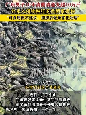 广东男子10年清剿清道夫超10万斤