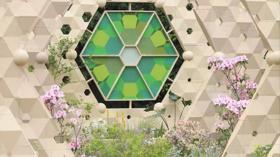 深圳“技客”故事 | 庄泽坤：在水泥森林里书写绿色诗篇