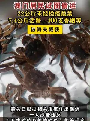 澳门居民试图偷运22公斤未经检疫蔬菜被截获