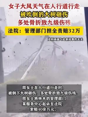 女子大风天走路被树砸致九级伤残，管理部门担全责赔32万