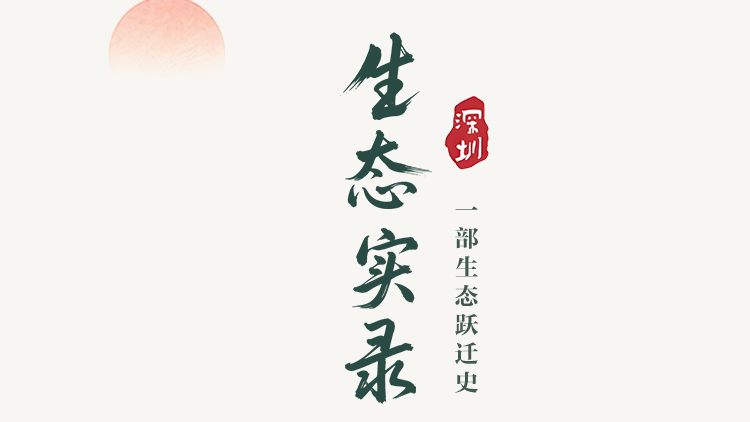 从“深圳速度”到“深圳绿度”：深圳书写“两山”理念的时代答卷