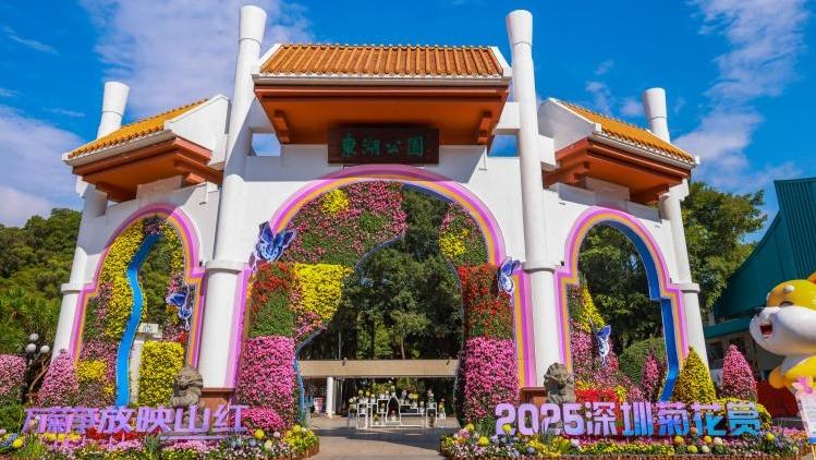 山海之城活力迎新 深圳公园多元活动点亮2026元旦假期