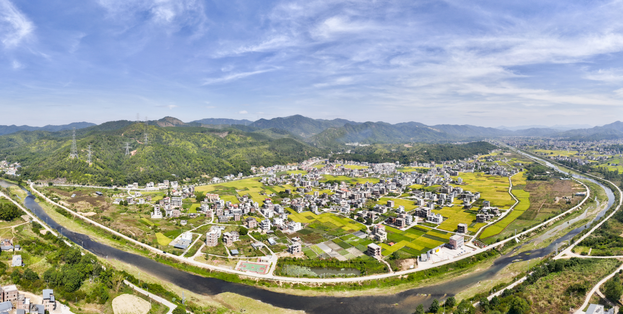 深圳“百千万工程”三年答卷：汇聚千企之力，共绘城乡协调发展新画卷