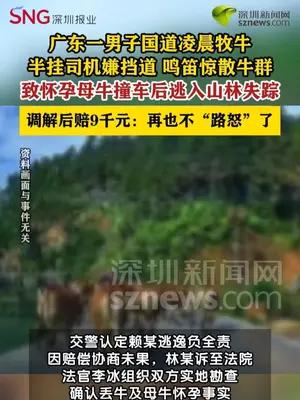母牛遇鸣笛受惊失踪，路怒司机分期赔9000元和解