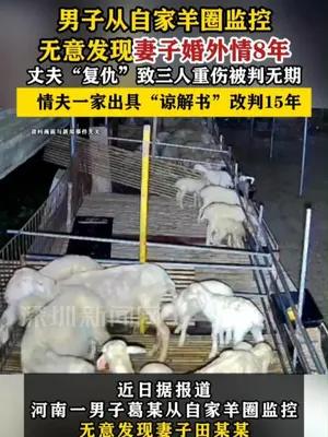 男子从自家羊圈监控无意发现妻子婚外情8年，持刀报复情夫一家