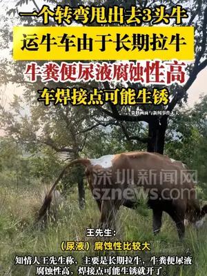 运牛车一个转弯甩出去3头牛