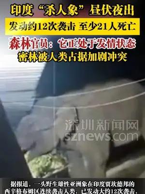 印度“杀人象”昼伏夜出，发动约12次袭击至少21人死亡