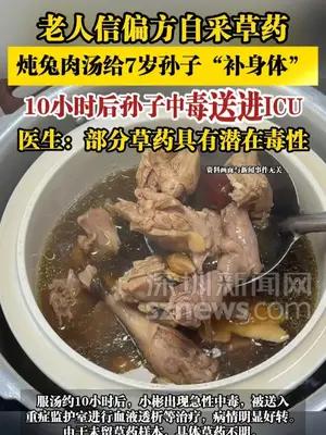 老人信偏方自采草药，炖兔肉汤给7岁孙子“补身体”