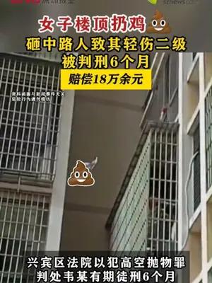 女子楼顶扔鸡屎砸中路人致其轻伤二级被判6个月