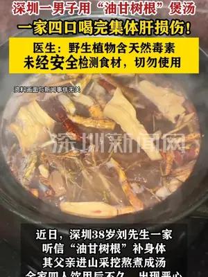 深圳一家四口喝“油甘树根”汤集体肝损伤