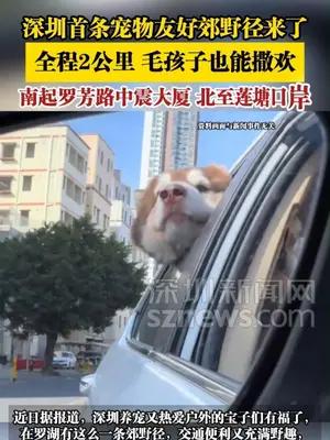 深圳首条宠物友好郊野径来了，全程2公，毛孩子也能撒欢
