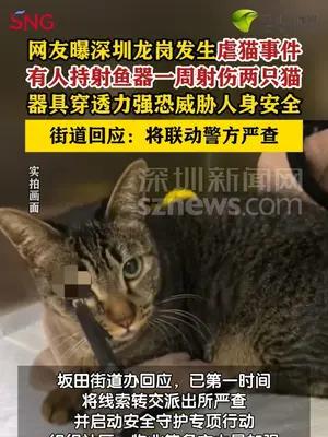 网友曝有人用射鱼器伤猫街道回应