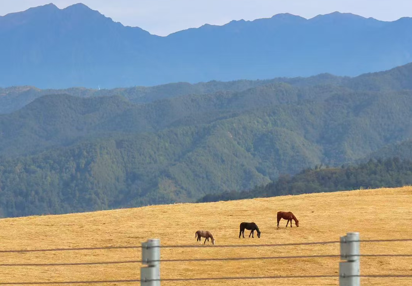 因地制宜精准施策 广发银行金融活水滴灌“三农”沃土