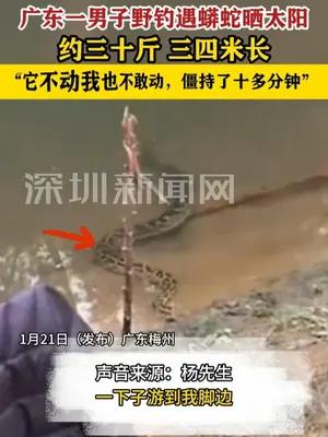 男子野钓遇三十斤蟒蛇晒太阳：它不动我也不敢动，僵持十来分钟