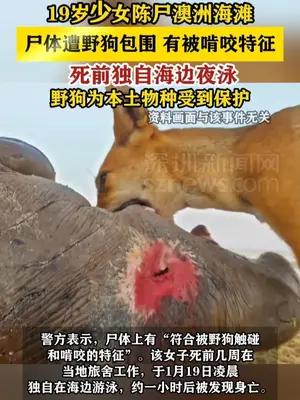 19岁少女陈尸澳洲海滩 尸体遭野狗包围 有被啃咬特征