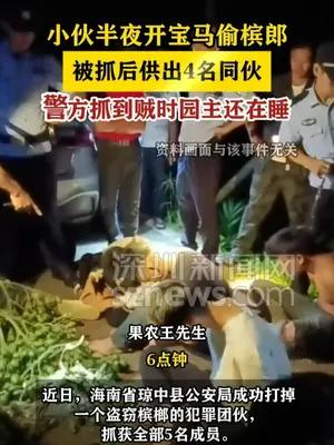 小伙半夜开宝马偷槟郎 警方抓到贼时园主还在睡