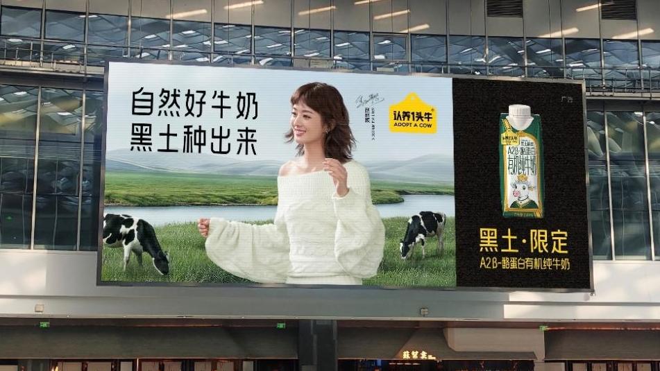 认养一头牛官宣赵丽颖为品牌代言人