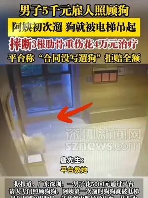 男子5千元雇人照顾狗，狗被电梯吊起，摔断3根肋骨