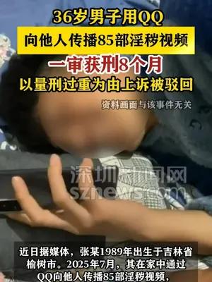 男子QQ传淫秽视频获刑8个月 二审维持原判