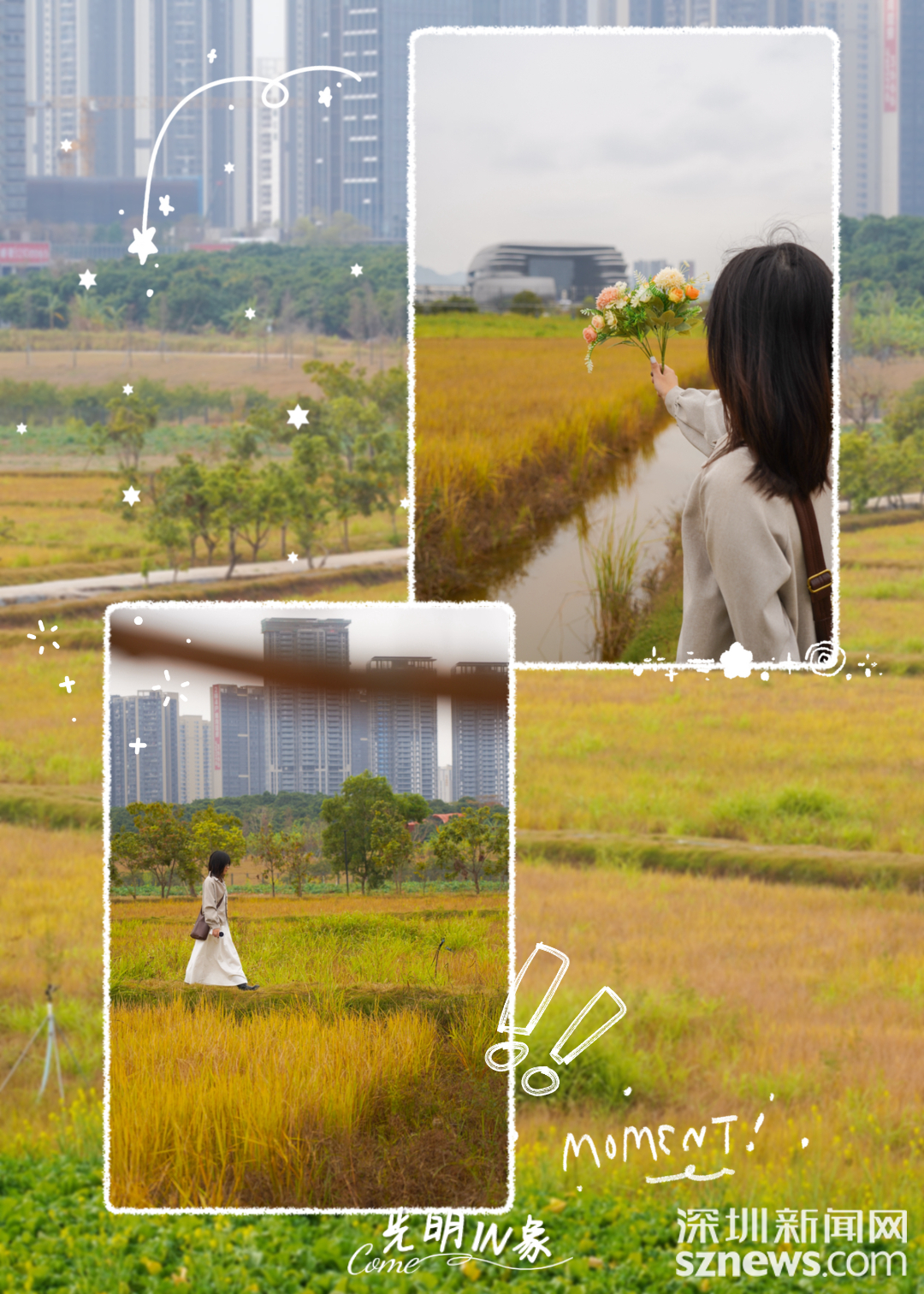 36cf86f171693b3a7bdc01e4e1c6d8b2.png
