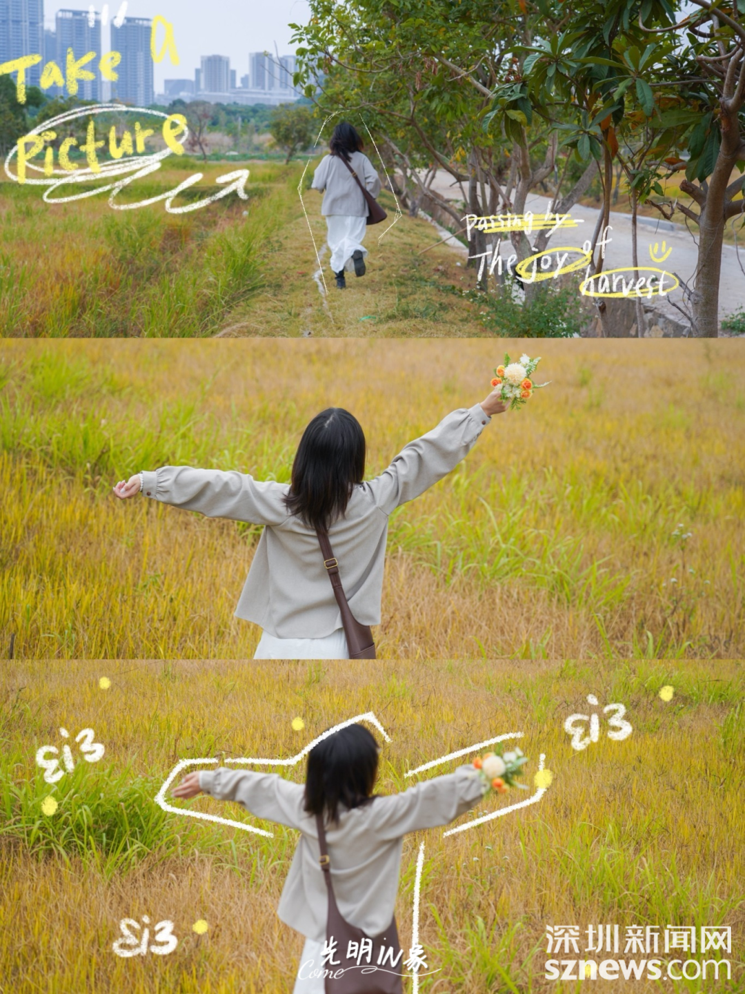 2764f56dae25022180cafc3007401e5b.png