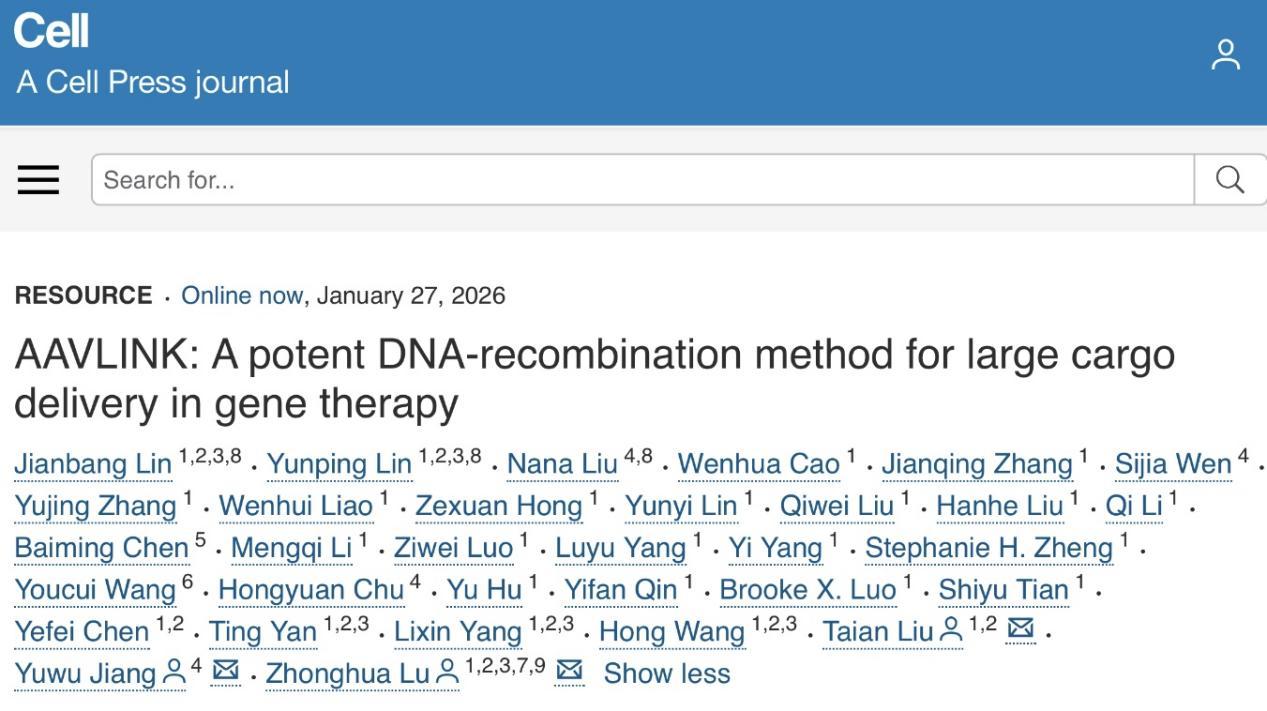 新型基因治疗策略为孤独症、癫痫等疾病带来新希望