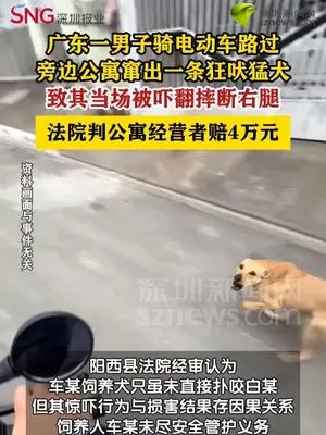 犬只吓翻骑车路人摔断腿狗主人被判赔4万元