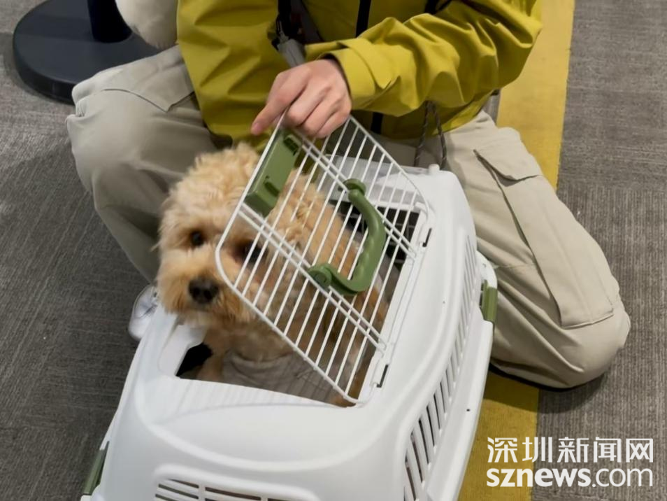 图片4.png 图片4.png