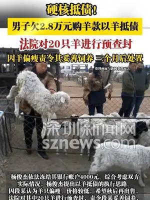 男子欠2.8万元购羊款以羊抵债，法院对20只羊进行预查封